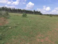  Agricultural Land for Sale in Anekal, Hosur