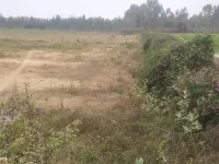  Agricultural Land for Sale in Denkanikottai, Hosur