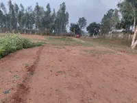  Agricultural Land for Sale in Bagalur Road, Hosur