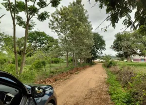 Agricultural Land for Sale in Thalli, Hosur