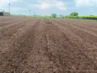  Agricultural Land for Sale in Dindori, Nashik