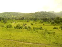  Agricultural Land for Sale in Bhor, Pune