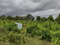 Agricultural Land for Sale in Keragodu, Mandya