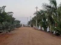 Agricultural Land for Sale in Kandukur, Rangareddy