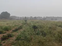  Farm House for Sale in Bommalaramaram, Hyderabad