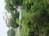  Residential Plot for Sale in Tanuku, West Godavari