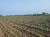 Industrial Land for Sale in Bishnupur, Bankura