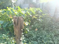  Residential Plot for Sale in Hatigaon, Guwahati