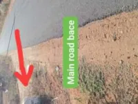  Agricultural Land for Sale in Udumalai/udumalpet, Coimbatore