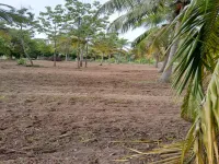  Agricultural Land for Sale in Marakkanam, Villupuram