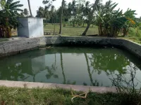  Agricultural Land for Sale in Walajapet, Vellore