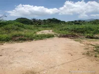  Agricultural Land for Sale in Sanarpatti, Dindigul