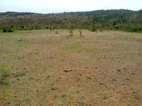  Residential Plot for Sale in Amar Shaheed Path, Lucknow