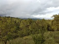  Agricultural Land for Sale in Madikeri, Kodagu