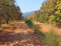  Agricultural Land for Sale in Periyanaickenpalayam, Coimbatore