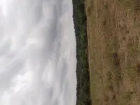  Agricultural Land for Sale in Hosur Taluk, Krishnagiri