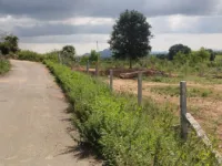  Agricultural Land for Sale in Shoolagiri, Hosur