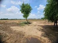  Residential Plot for Sale in Kherwa Road, Pali