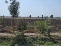  Agricultural Land for Sale in Sumerpur Pali