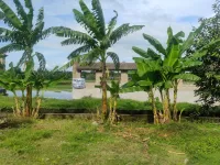  Commercial Land for Sale in Haldia, Medinipur