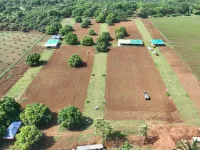  Residential Plot for Sale in Mallavalli, Krishna