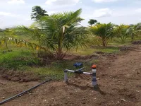  Agricultural Land for Sale in Siruganur, Tiruchirappalli