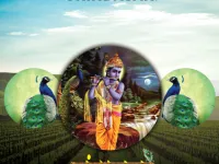  Residential Plot for Sale in NH-2, Vrindavan