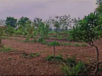 4 BHK Farm House for Sale in Mhow, Indore