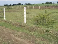  Agricultural Land for Sale in Snp Agraharam, Bapatla, Guntur