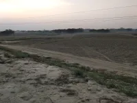  Residential Plot for Sale in Palhani Block, Azamgarh