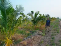  Agricultural Land for Sale in Siruganur, Tiruchirappalli