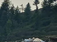  Agricultural Land for Sale in Fagu, Shimla