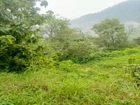  Residential Plot for Sale in NH-154, Bilaspur