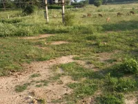  Agricultural Land for Sale in Nambiyur, Erode