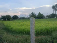  Agricultural Land for Sale in Kunnathur, Tirupur