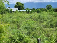  Agricultural Land for Sale in Peedampalli, Coimbatore
