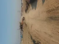  Agricultural Land for Sale in Bayad, Sabarkantha