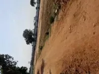  Commercial Land for Sale in Dindigul Road, Tiruchirappalli