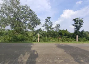 Agricultural Land for Sale in Barbaspur, Umaria