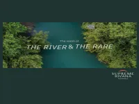 3 BHK Flat for Sale in Punawale, Pune