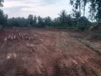  Agricultural Land for Sale in Kora, Tumkur