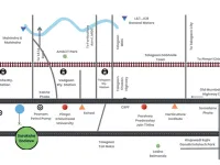Residential Plot for Sale in Kanhe, Pune