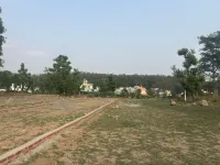  Residential Plot for Sale in Bhauwala, Dehradun