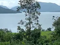  Agricultural Land for Sale in Mulshi, Pune