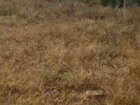  Residential Plot for Sale in Jodi Gaon, Dehradun