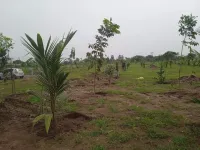  Agricultural Land for Sale in Siruganur, Tiruchirappalli