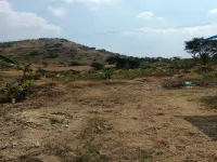  Agricultural Land for Sale in Malavalli, Mandya