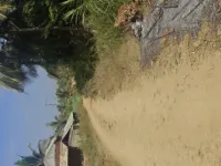  Agricultural Land for Sale in Hunsur, Mysore