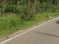 Agricultural Land for Sale in Malavalli, Mandya