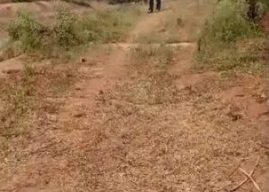 Agricultural Land for Sale in Hunsur, Mysore